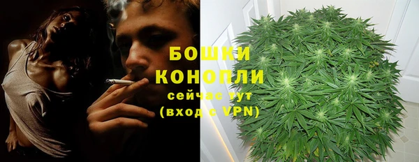 дурь Алзамай