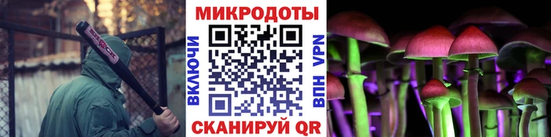 Псилоцибиновые грибы Magic Shrooms darknet какой сайт Лахденпохья хочу