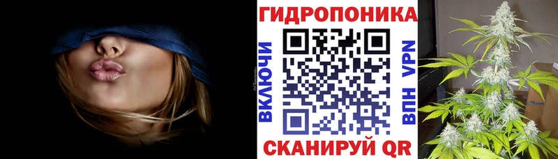 МАРИХУАНА планчик Лахденпохья